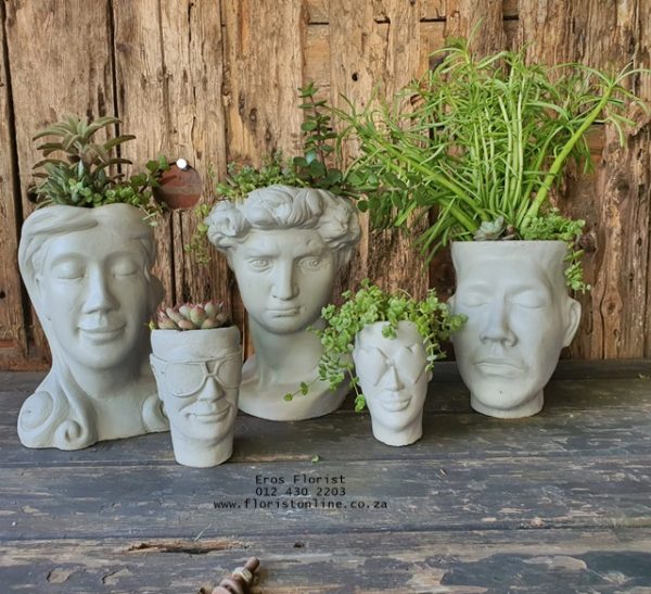Decorative Succulent Heads
