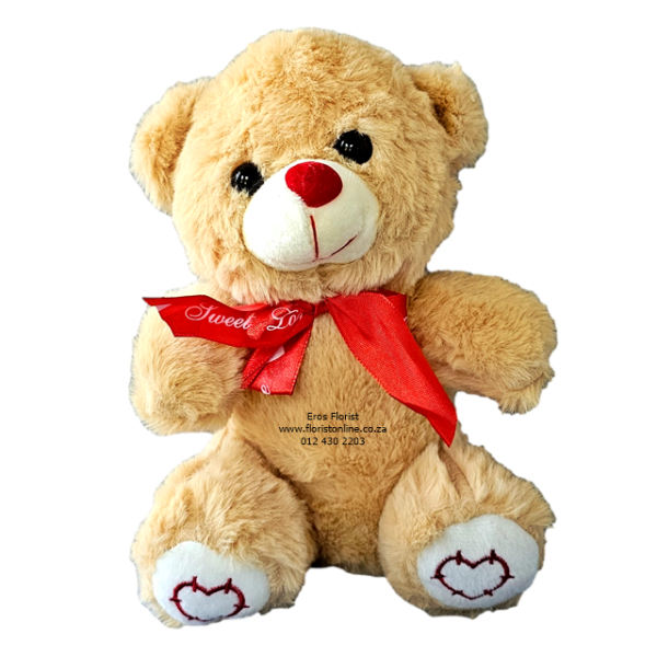 Small brown teddy bear with heart on it’s feet . Small brown teddy bear with heart on it’s feet   