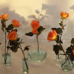 Cut roses can be a beautiful ornament for countertops